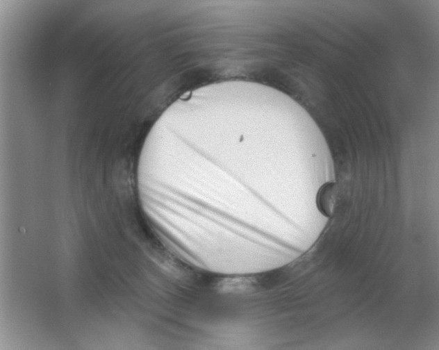 X0000063490179200602101843