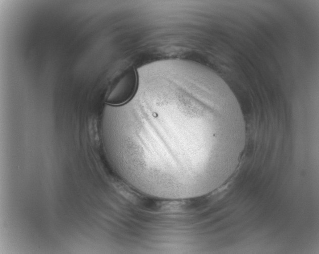 X0000063490182200602101843