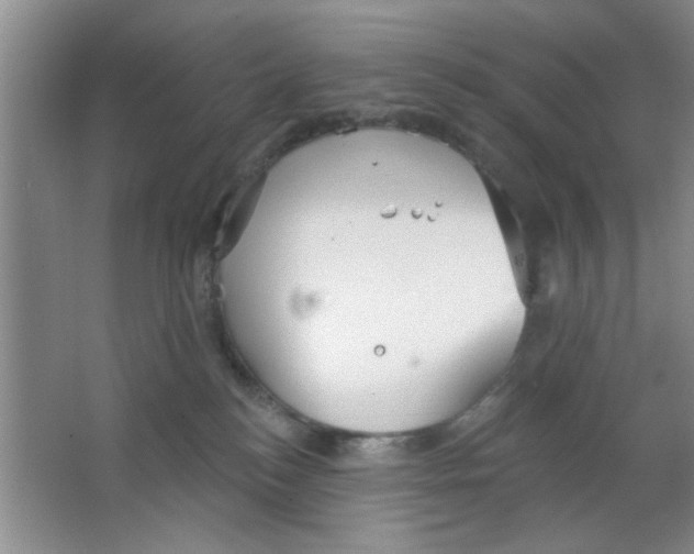 X0000063490184200602101843