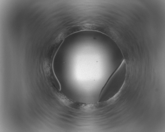 X0000063490186200602101843