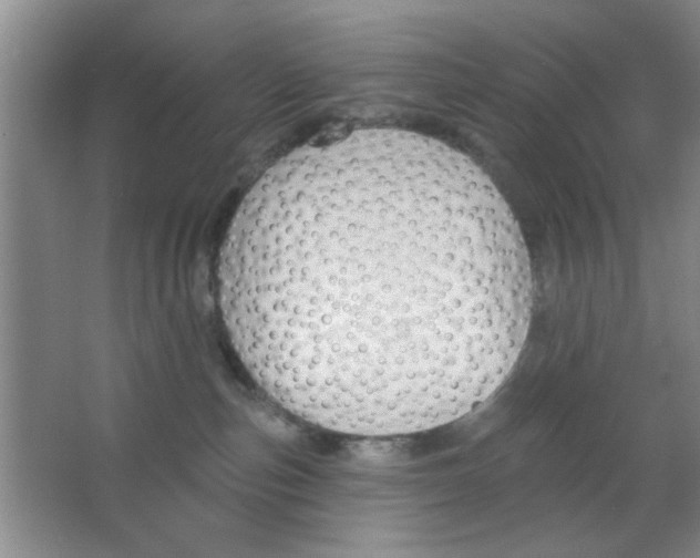 X0000063490187200602101843