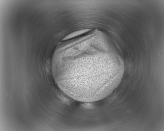 X0000063490189200602101843