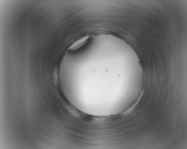 X0000063490190200602101843