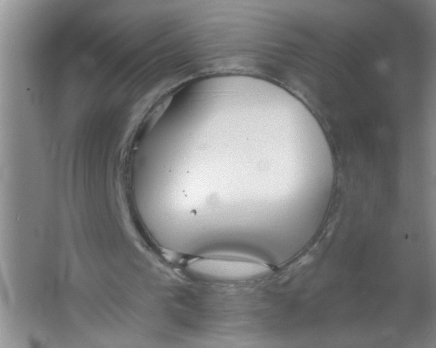 X0000063490193200602101842