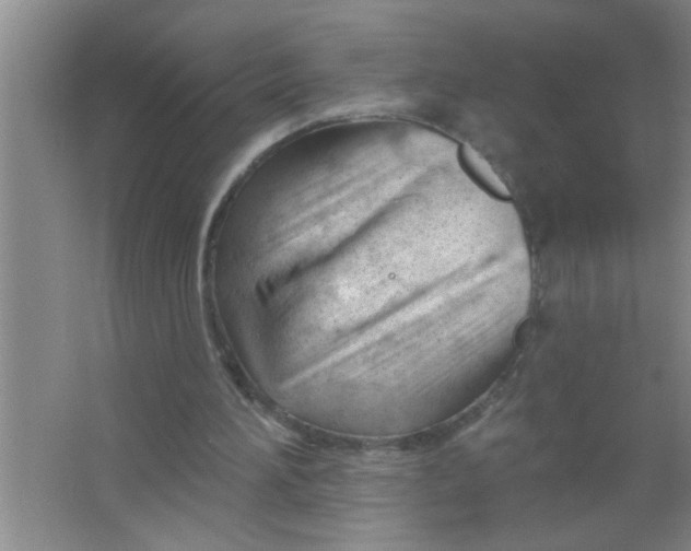 X0000063490196200602101842