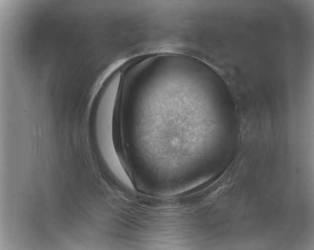 X0000063490200200602101842