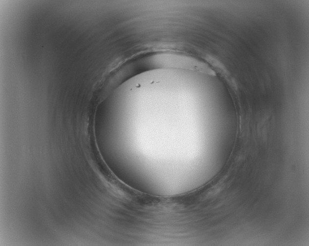 X0000063490201200602101842