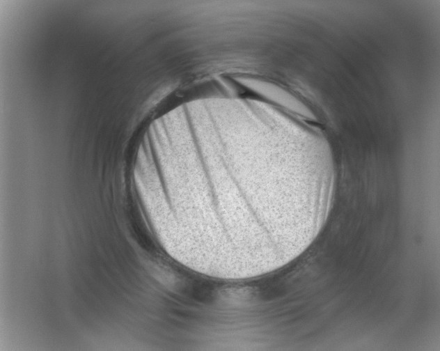 X0000063490202200602101842