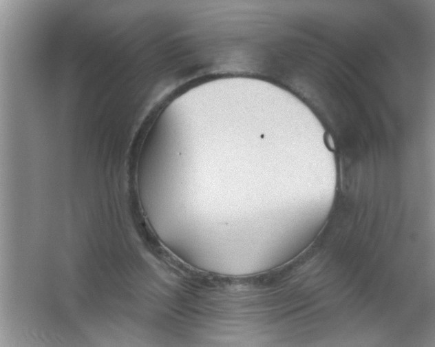 X0000063490204200602101842