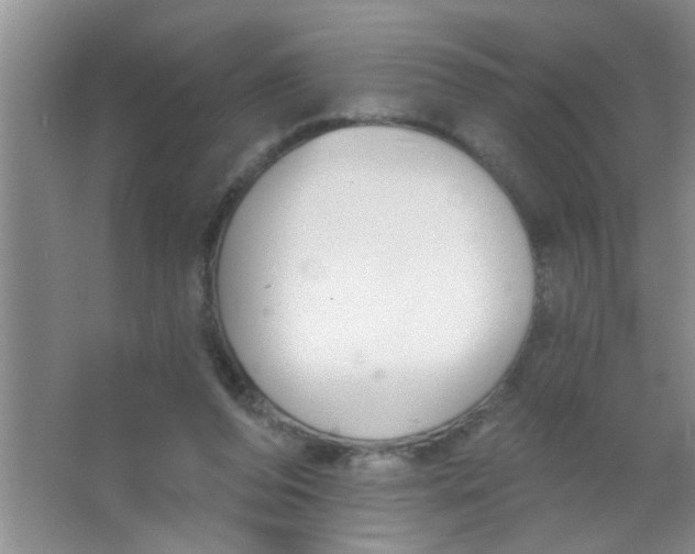 X0000063490208200602101842