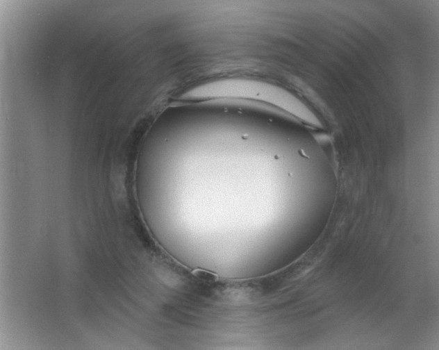 X0000063490209200602101842