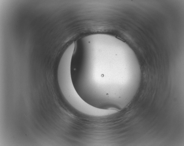 X0000063490211200602101842