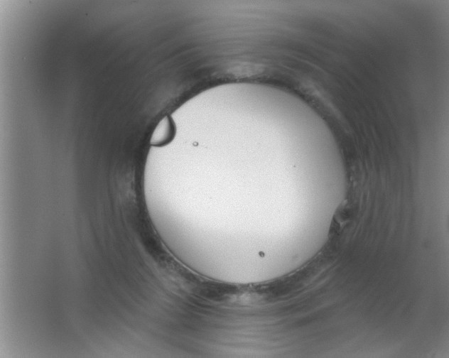 X0000063490212200602101842