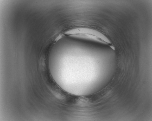 X0000063490215200602101842