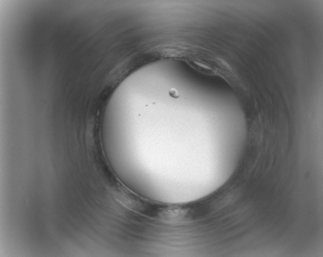 X0000063490217200602101842