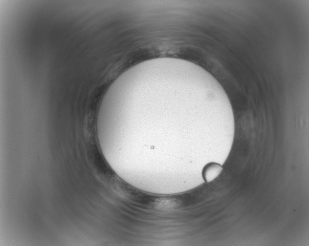 X0000063490218200602101841