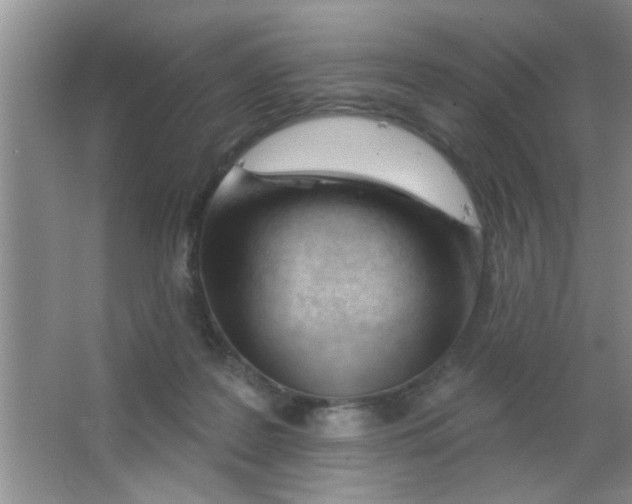 X0000063490219200602101841