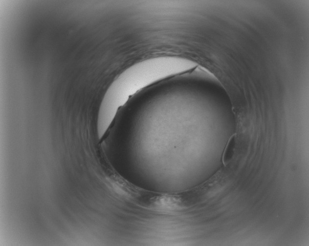 X0000063490223200602101841