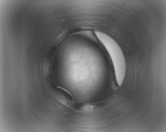 X0000063490227200602101841