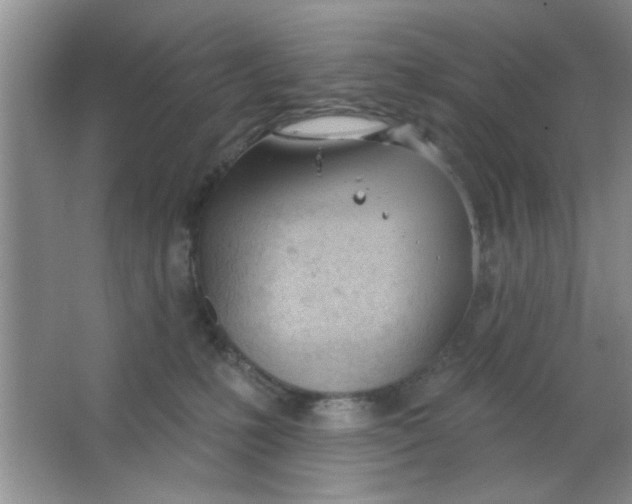 X0000063490231200602101841