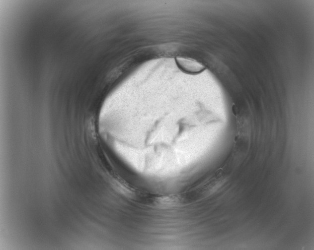 X0000063490238200602101841