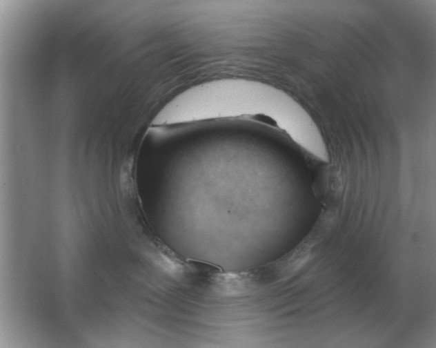 X0000063490239200602101841