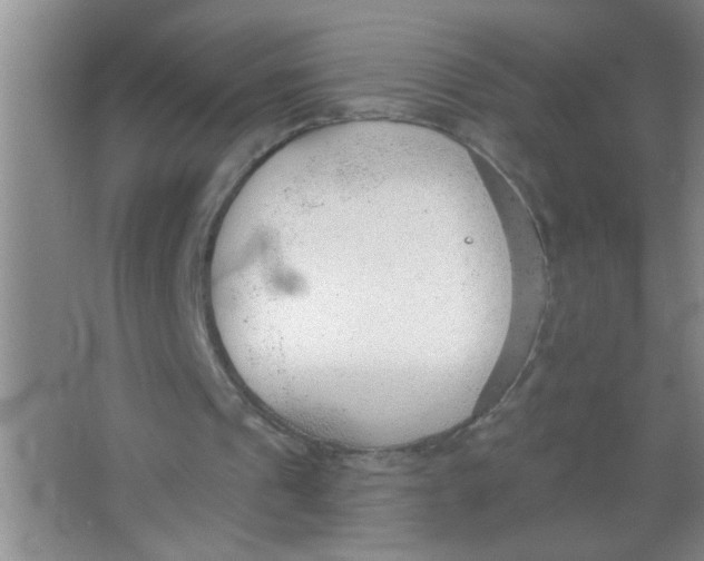 X0000063490241200602101840