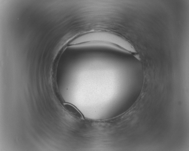 X0000063490242200602101840