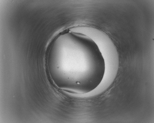 X0000063490244200602101840