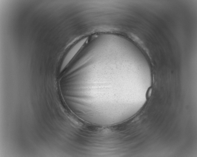 X0000063490249200602101840