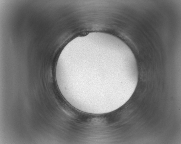 X0000063490251200602101840