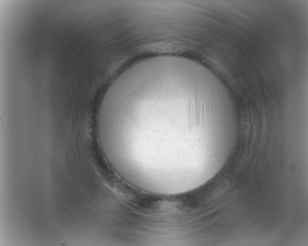 X0000063490255200602101841