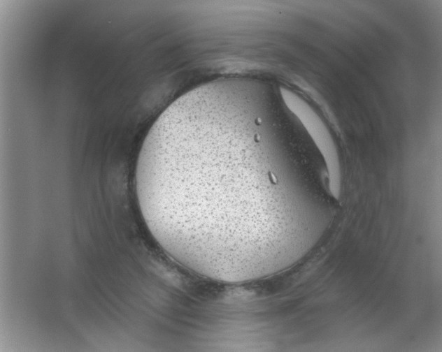 X0000063490257200602101841