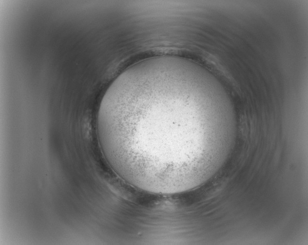 X0000063490259200602101841