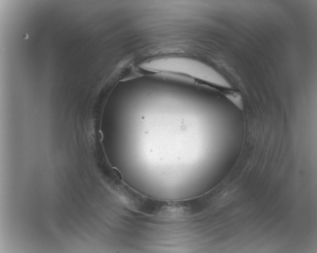 X0000063490260200602101841