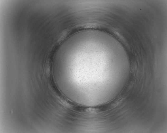 X0000063490261200602101841