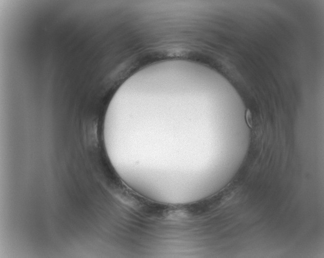 X0000063490262200602101841