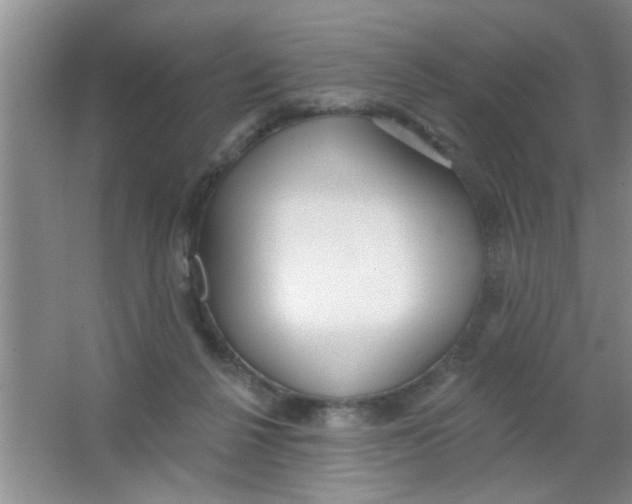 X0000063490264200602101841