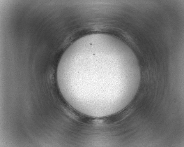 X0000063490265200602101841