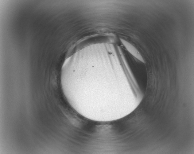 X0000063490266200602101841