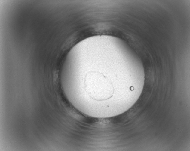 X0000063490278200602101841