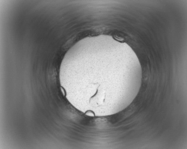 X0000063490279200602101841