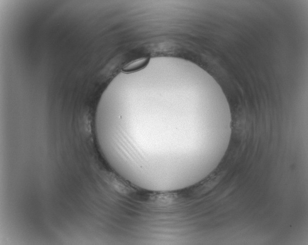 X0000063490282200602101841