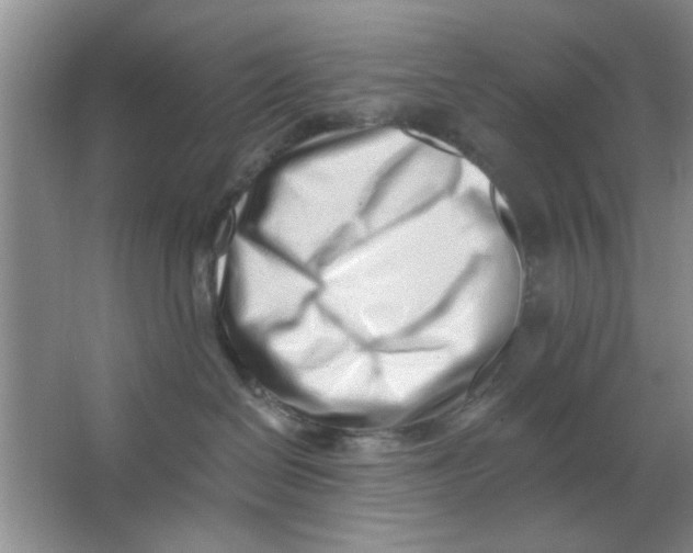 X0000063490286200602101841