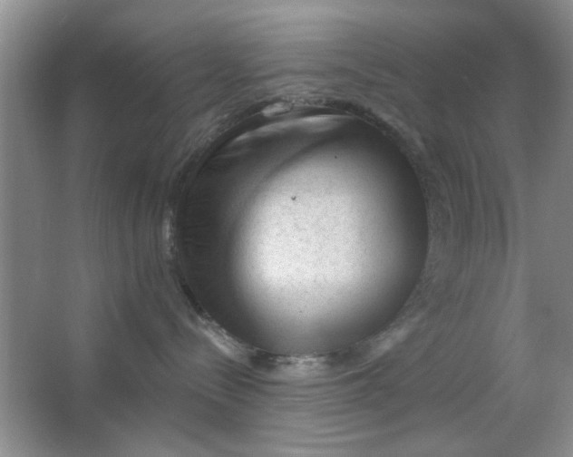 X0000063490288200602101841