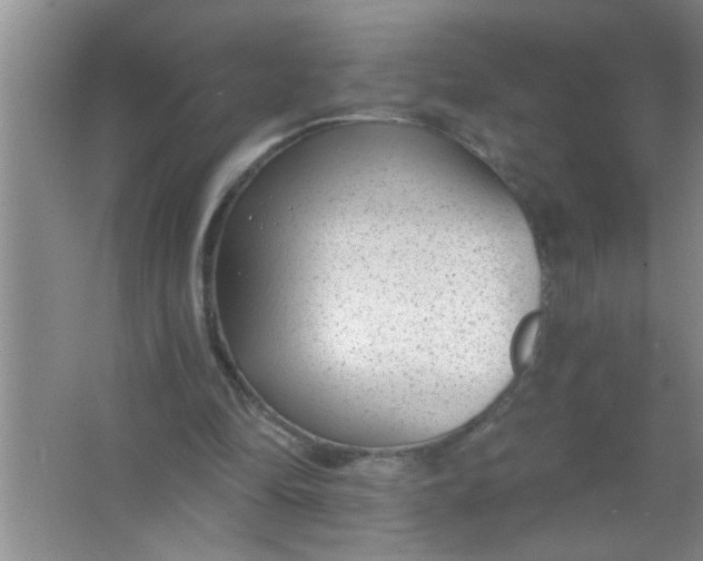 X0000063490294200602101840