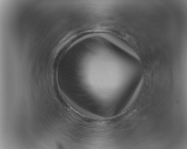 X0000063490295200602101840