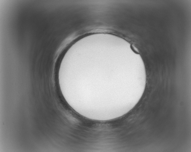 X0000063490296200602101840