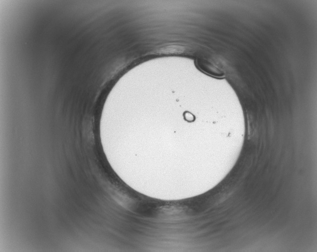 X0000063490300200602101840