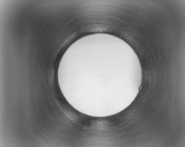 X0000063490304200602101840